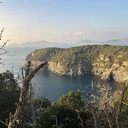 Holiday home L'echappee Bleue, A 3 Minutes Hyeres